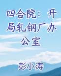 四合院：开局轧钢厂办公室在线阅读小说